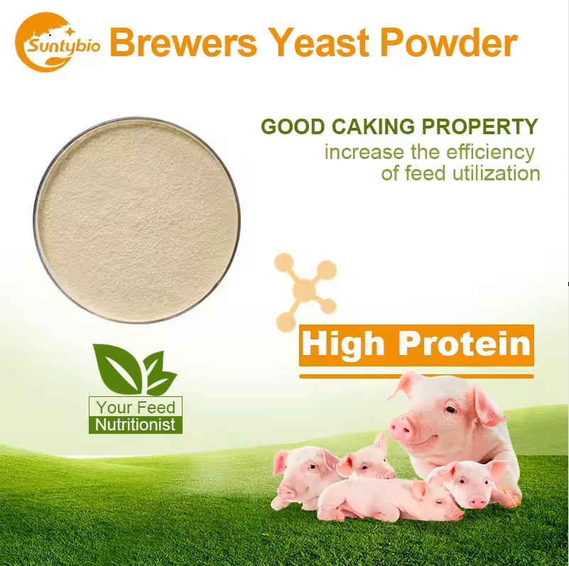 The effect of beer yeast on pigs