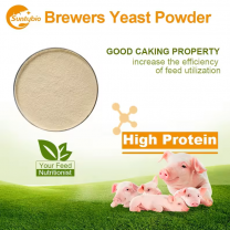 The effect of beer yeast on pigs