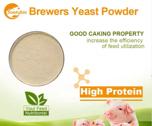 The effect of beer yeast on pigs