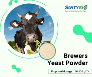 The function of beer yeast powder for feed