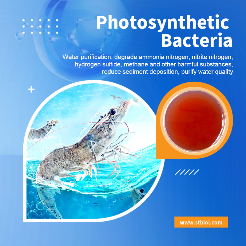 What are the benefits of using photosynthetic bacteria in aquaculture technology