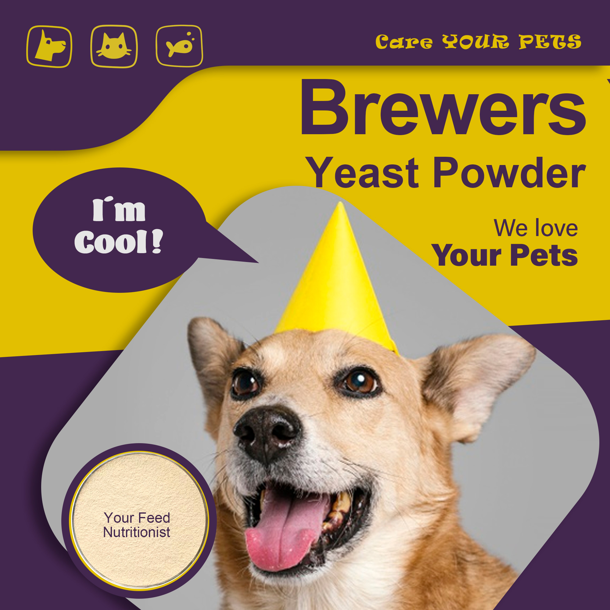 How important beer yeast is to dogs