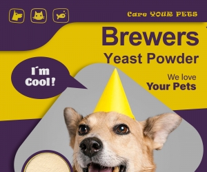 How important beer yeast is to dogs