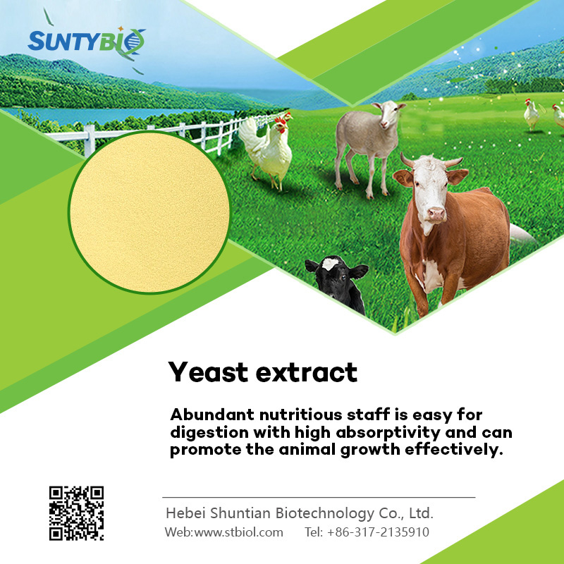 The effect and efficacy of yeast extract on livestock