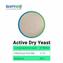 Active Dry Yeast(Saccharomyces cerevisiae)