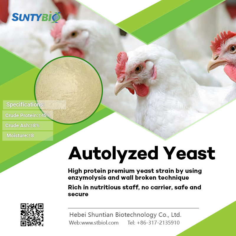 The effect of yeast hydrolysate on milk production and quality in dairy cows
