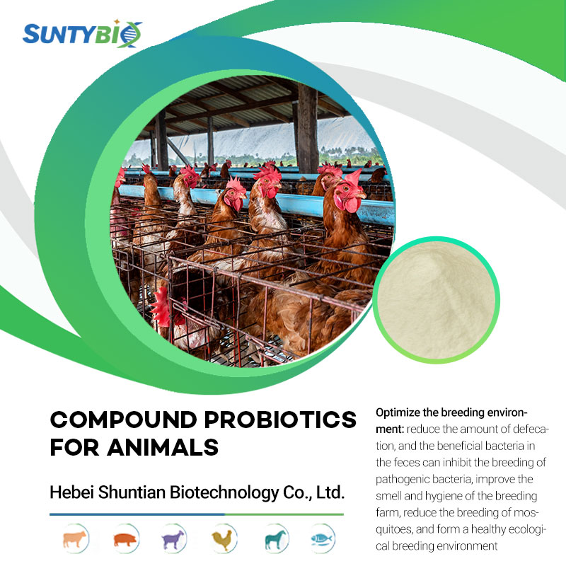 Why feed probiotics to chickens