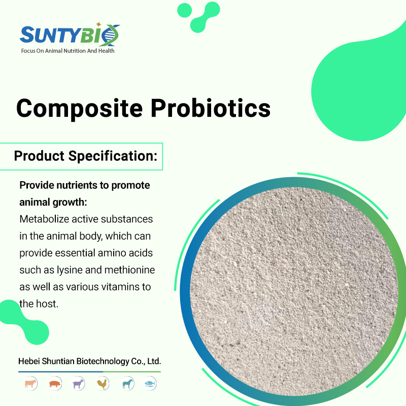 The role of compound probiotic cultivation