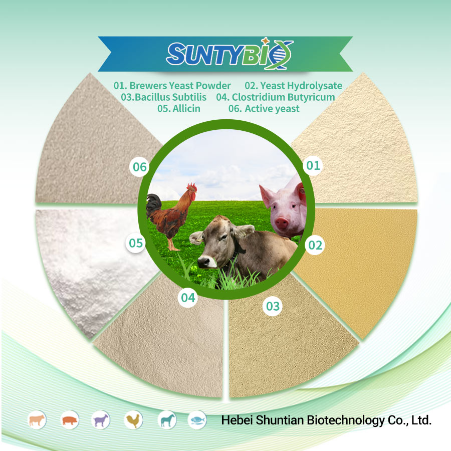 The difference between yeast cell wall and yeast hydrolysate is