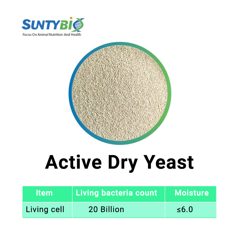 Active Dry Yeast
