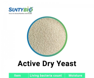Active Dry Yeast