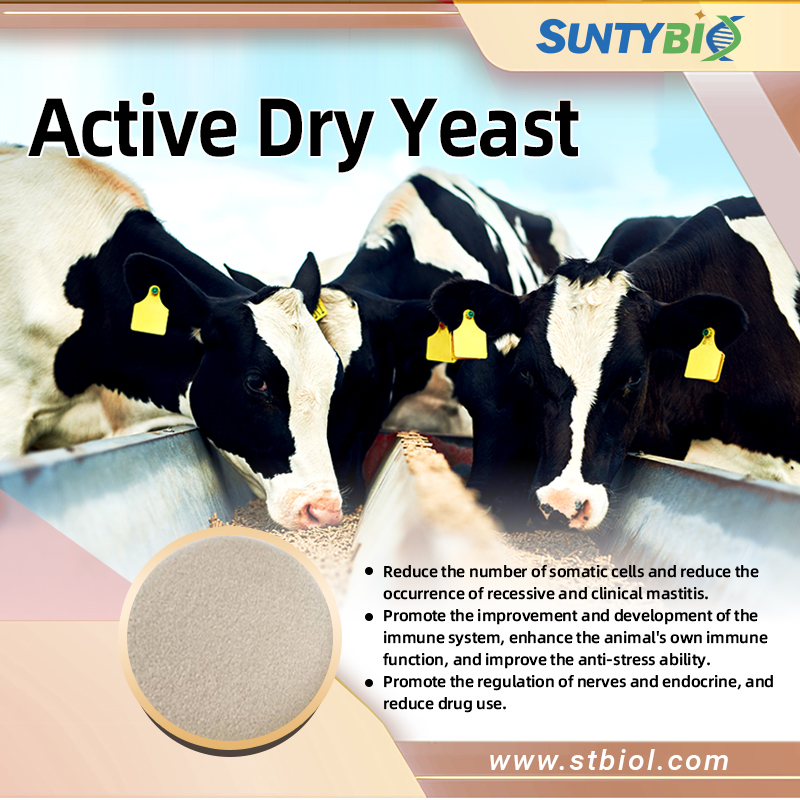 The benefits of using yeast hydrolysate for chicken farming