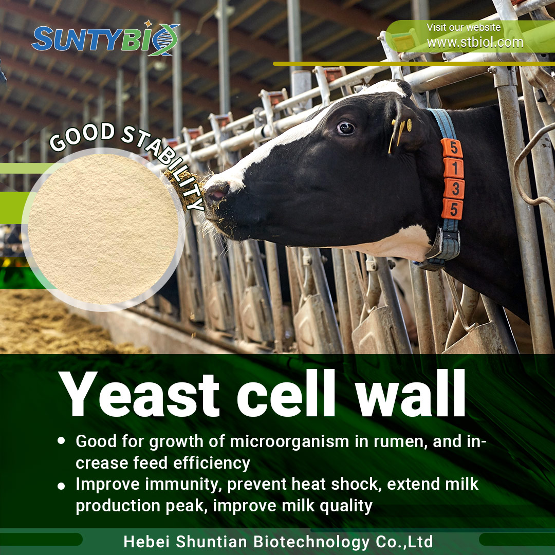Research on the Application of Yeast Cell Wall