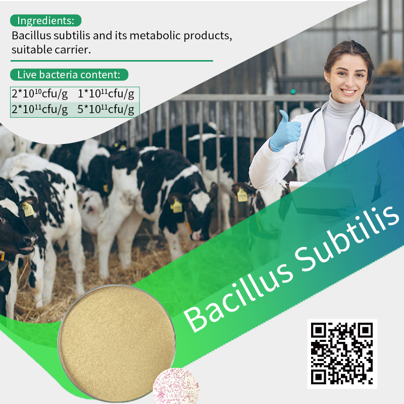 5 common questions about feeding probiotics to animals and poultry