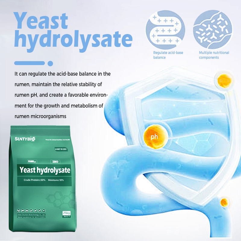 The core advantages of yeast hydrolysate in horse breeding