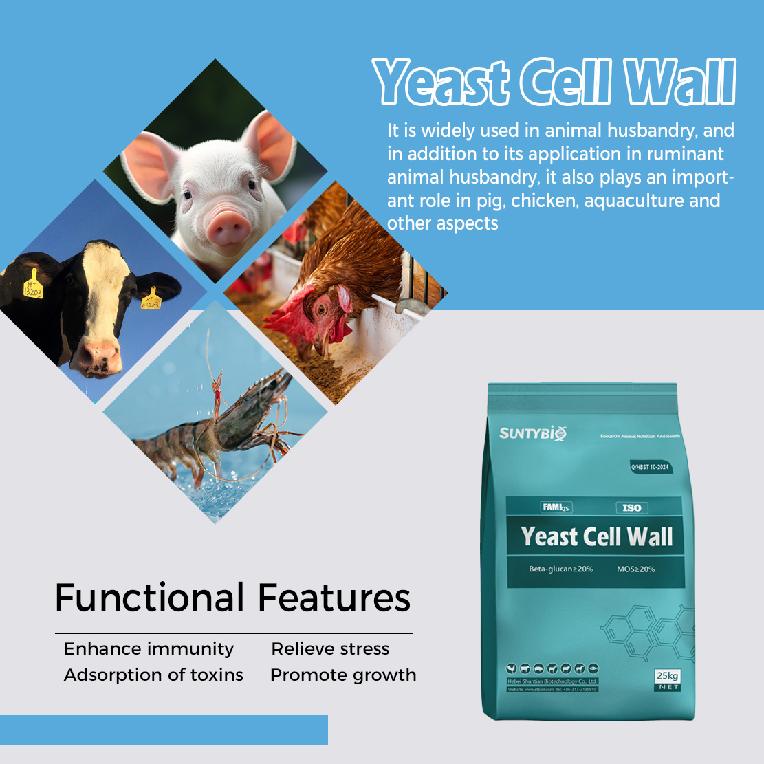 Yeast cell wall is used for adsorbing fungal toxins