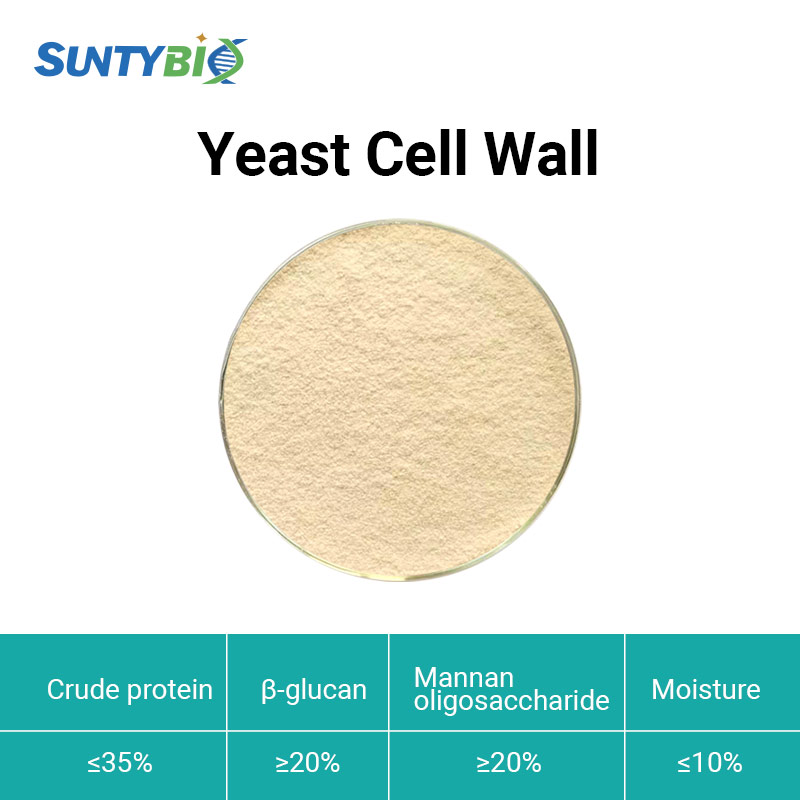 Yeast Cell Wall For Mycotoxin Adsorption