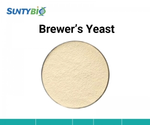 A natural animal feed additive? Beer yeast is the answer you have been searching