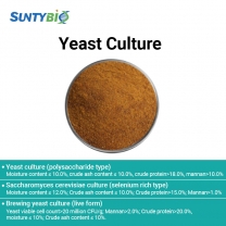 Three types of brewing yeast cultures
