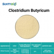 Detailed introduction to the function of Clostridium butyricum