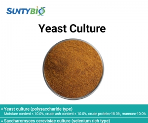 Three types of brewing yeast cultures