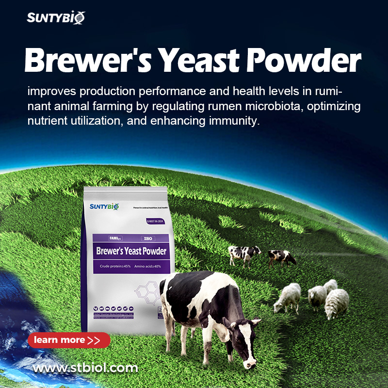 What kind of animals can be fed with beer yeast?