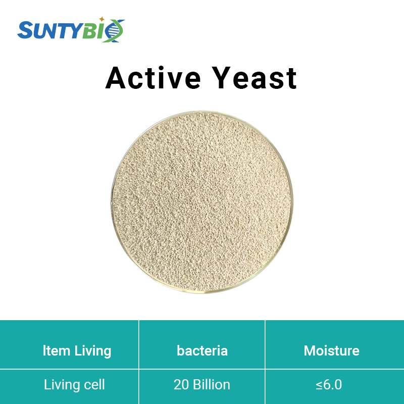 Active Dry Yeast/Active Yeast
