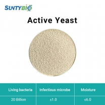 Active Yeast(Saccharomyces cerevisiae)