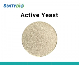 Active Dry Yeast/Active Yeast