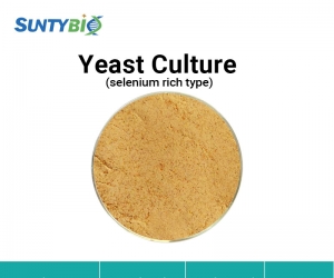 Yeast culture (selenium rich type)