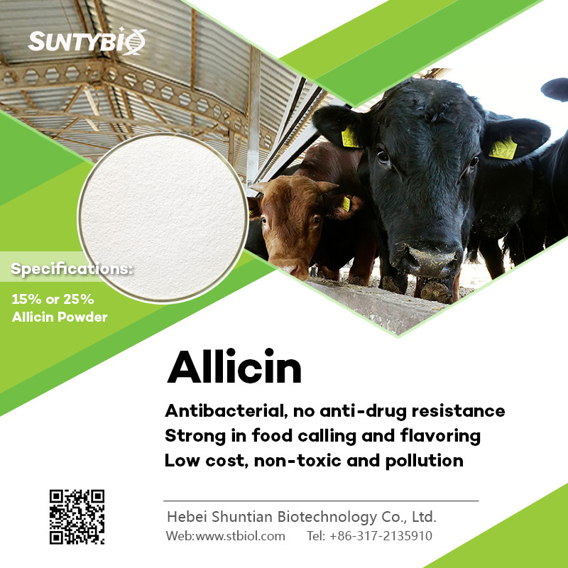 Will long-term use of allicin cause animals to develop drug resistance?