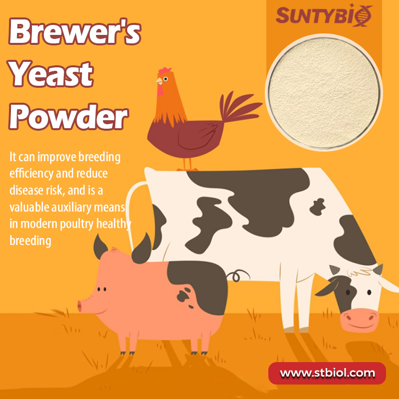 What are the advantages of beer yeast compared to other feed additives?