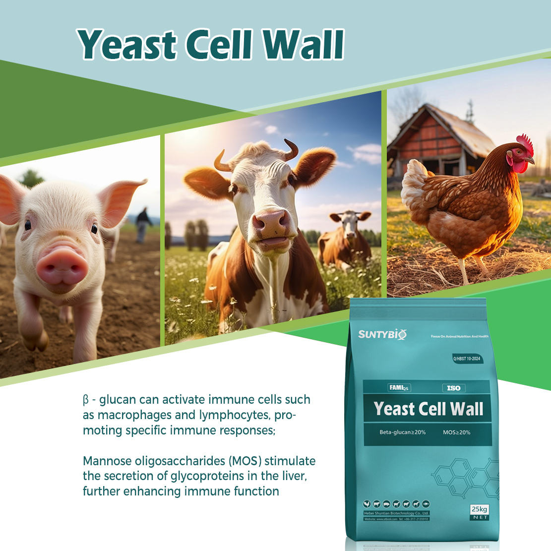 Yeast cell wall takes you into a new world of aquaculture