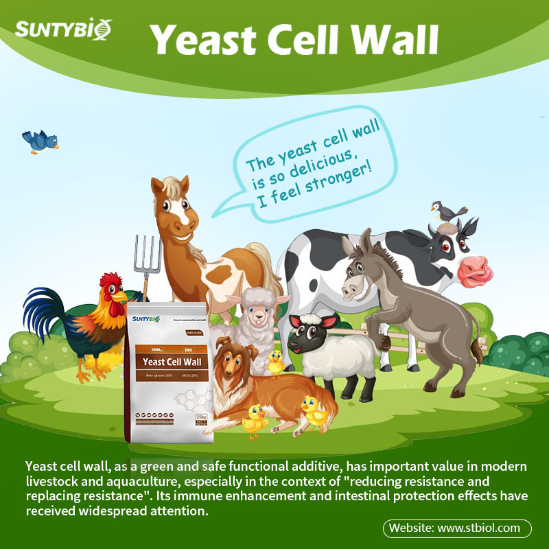 Natural nutritional additive - yeast cell wall,