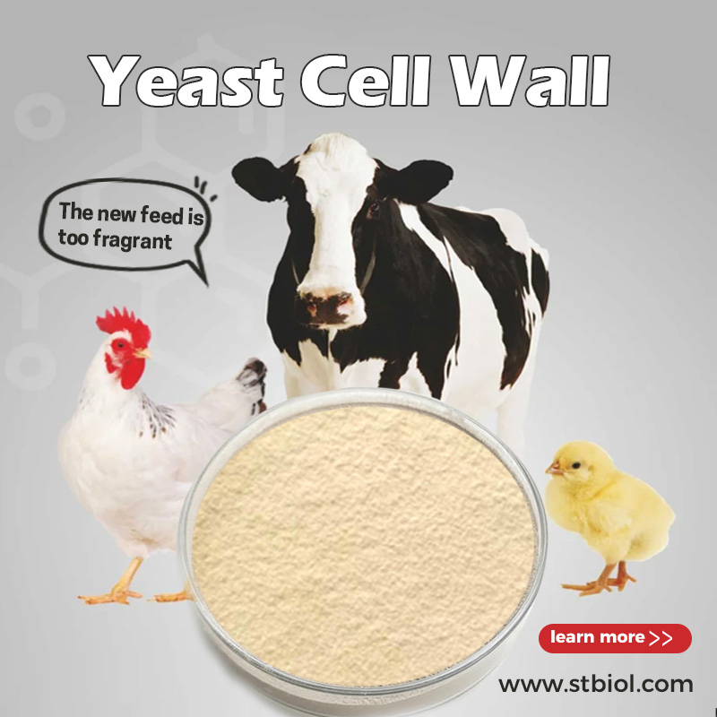 Antibiotic alternatives, yeast cell wall
