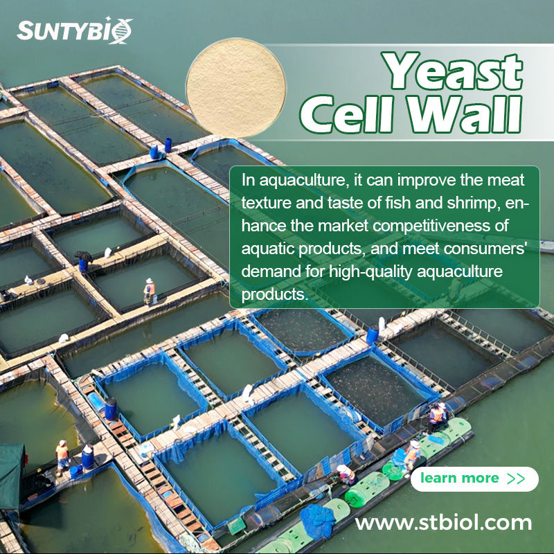 Application and Prospects of Yeast Cell Wall in Aquaculture Feed