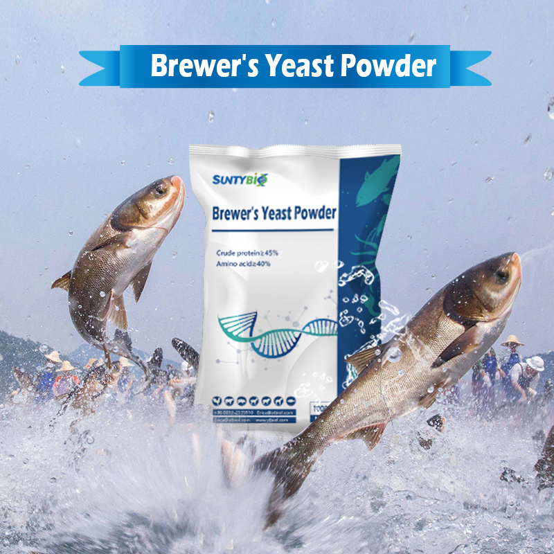 Brewers Yeast: An Indispensable Green Nutrient Treasure in Aquaculture