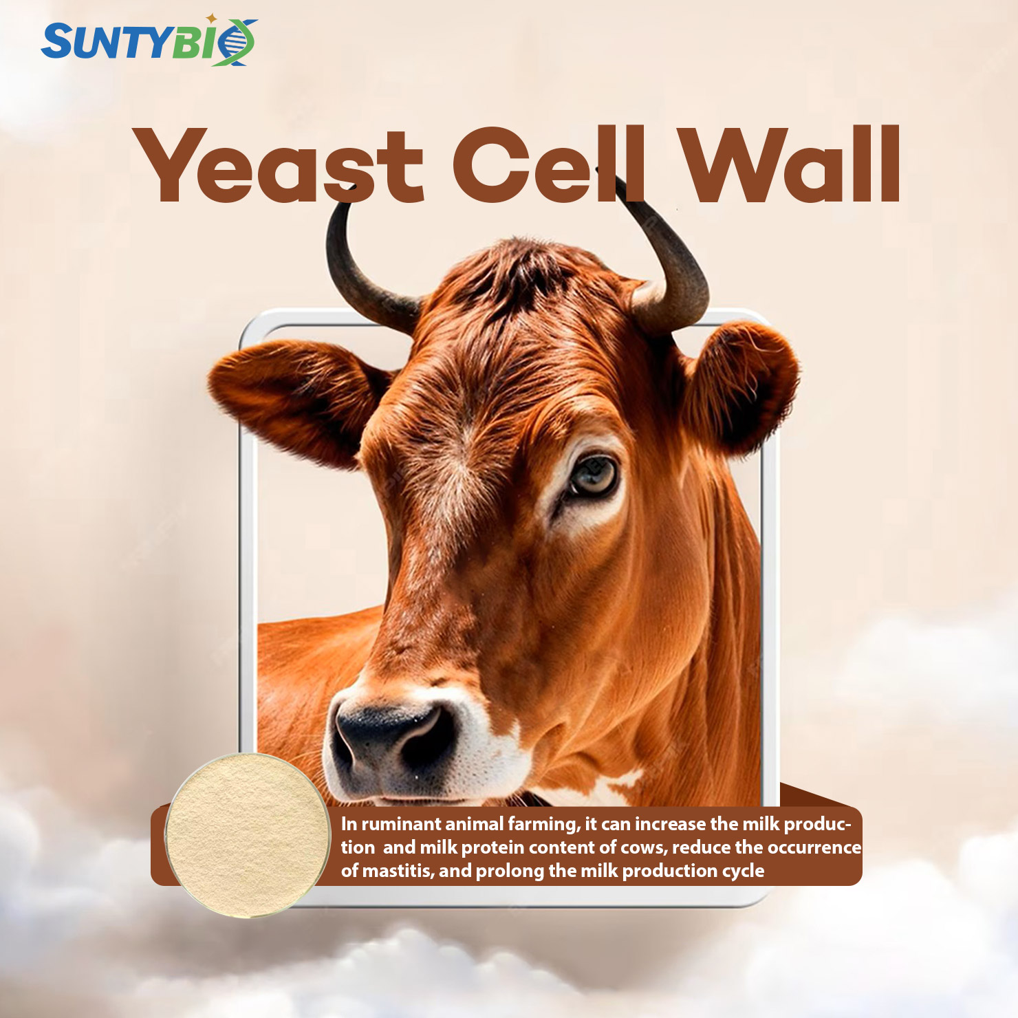  Boost Cattle Health and Productivity Naturally with Yeast Cell Wall