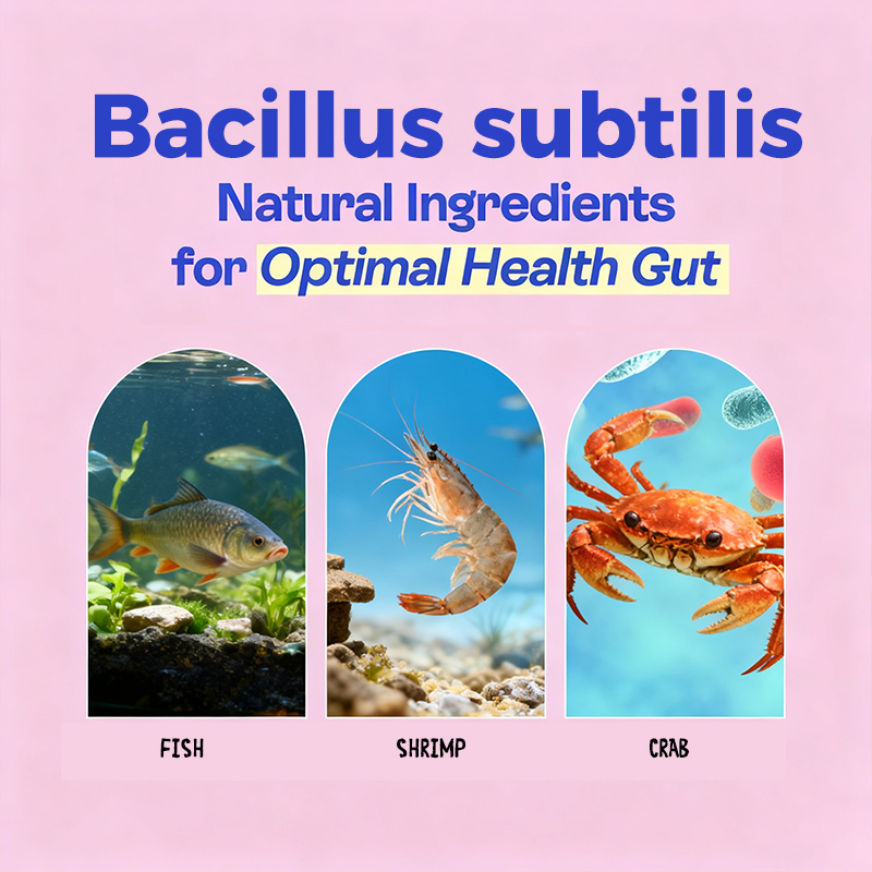 Application and Benefits of Bacillus subtilis in Aquaculture