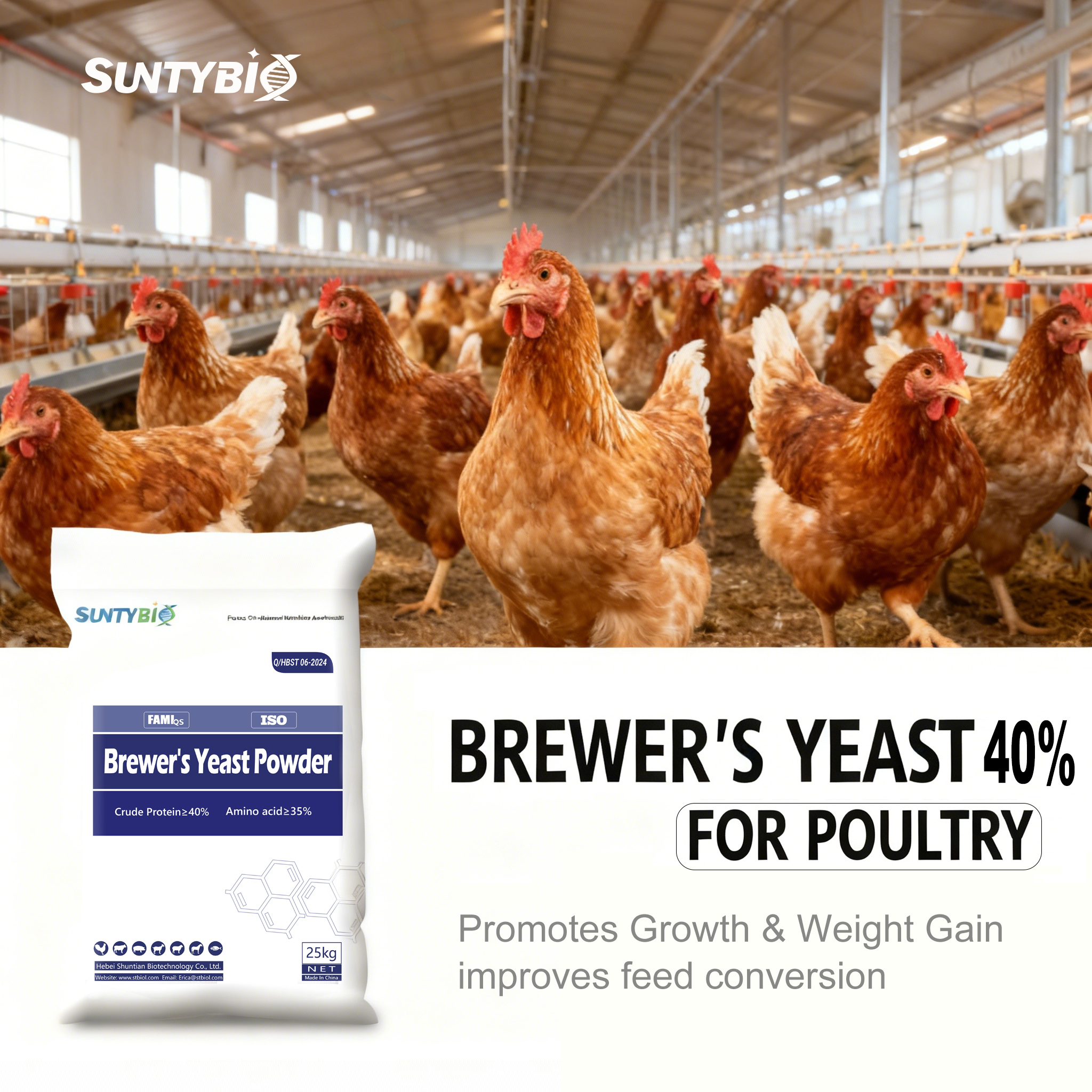 Application and advantages of beer yeast in poultry farming