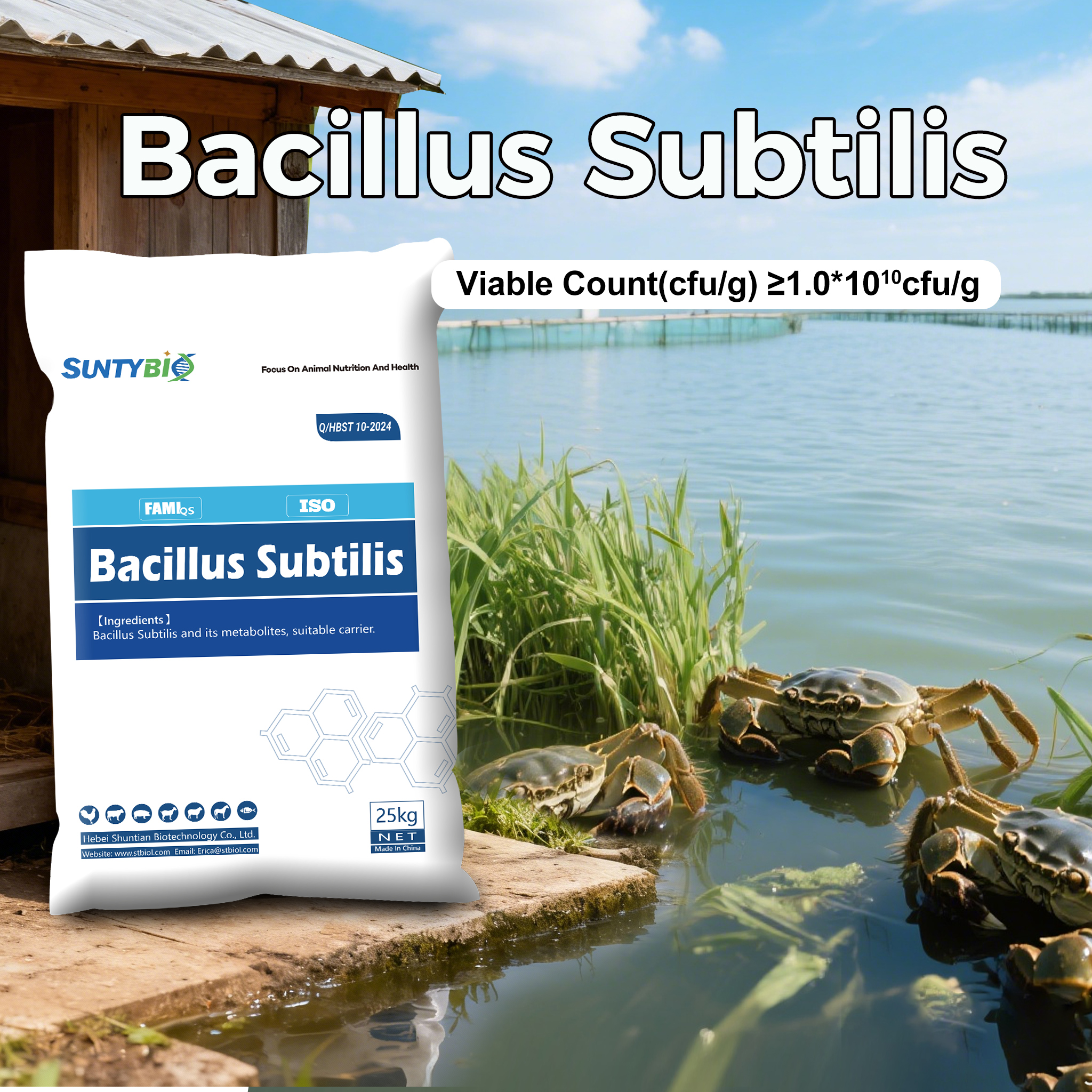 Bacillus subtilis in Aquaculture: Beyond Water Treatment, a Tool for Profit Maxi