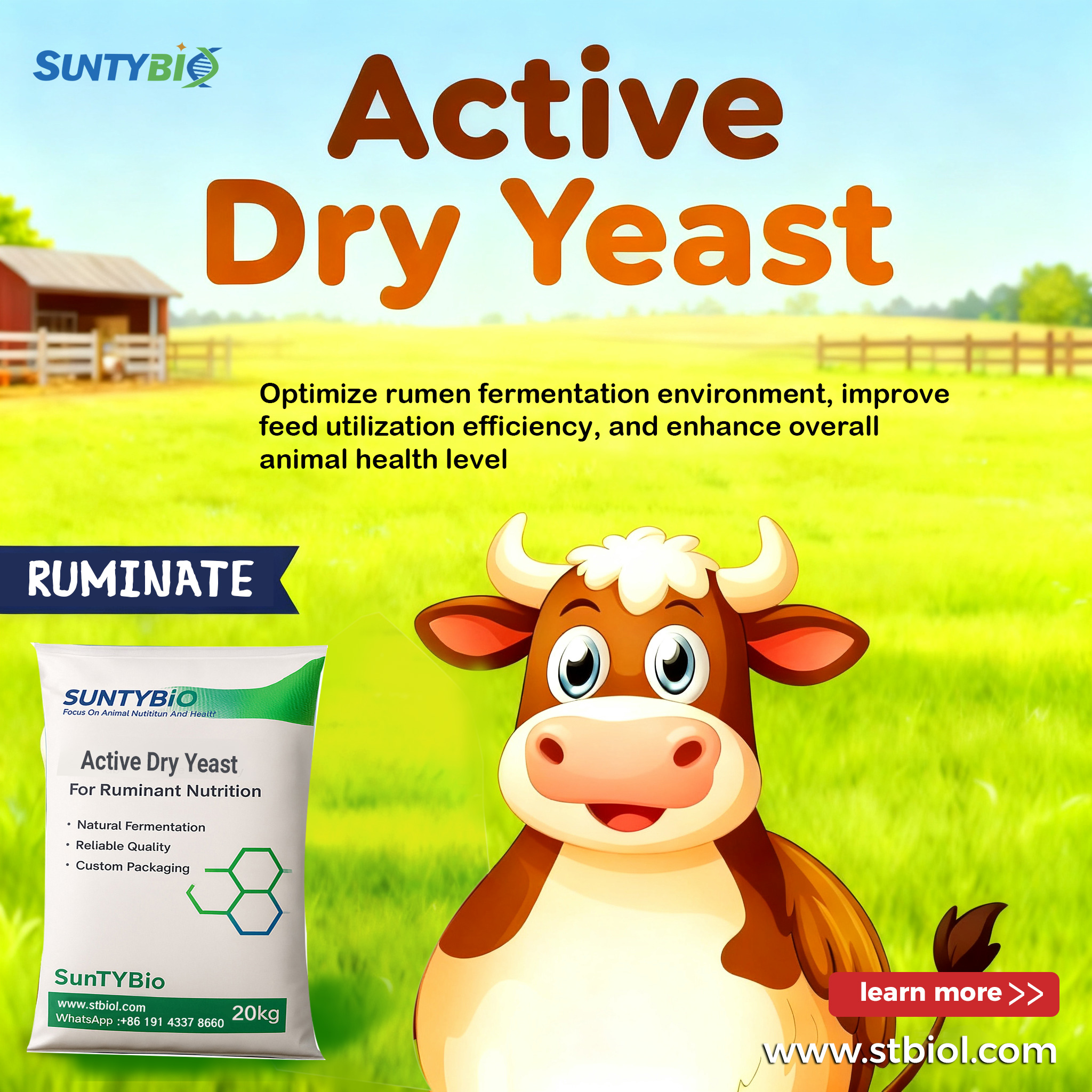 Active yeast: the 