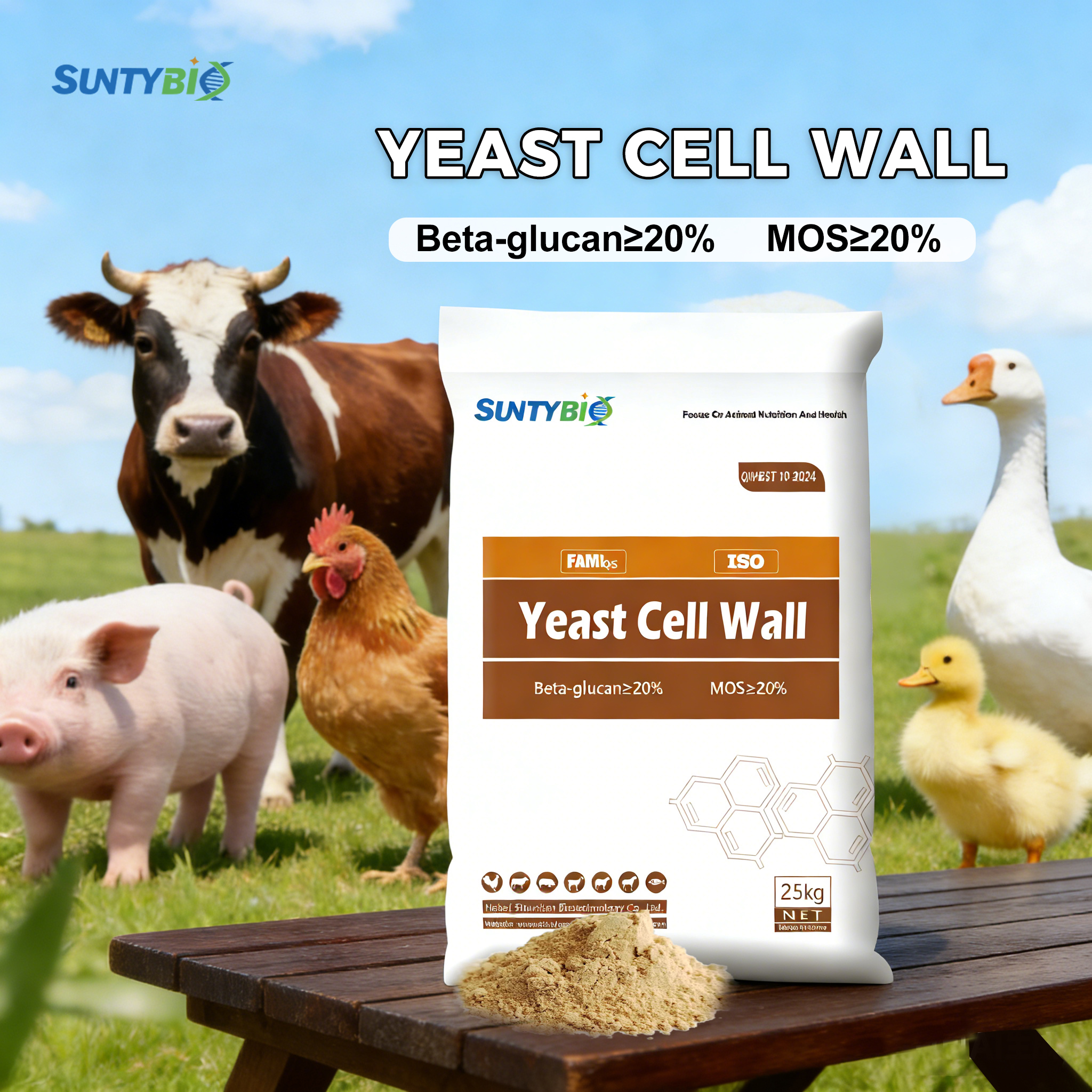 The core mechanism of yeast cell wall action