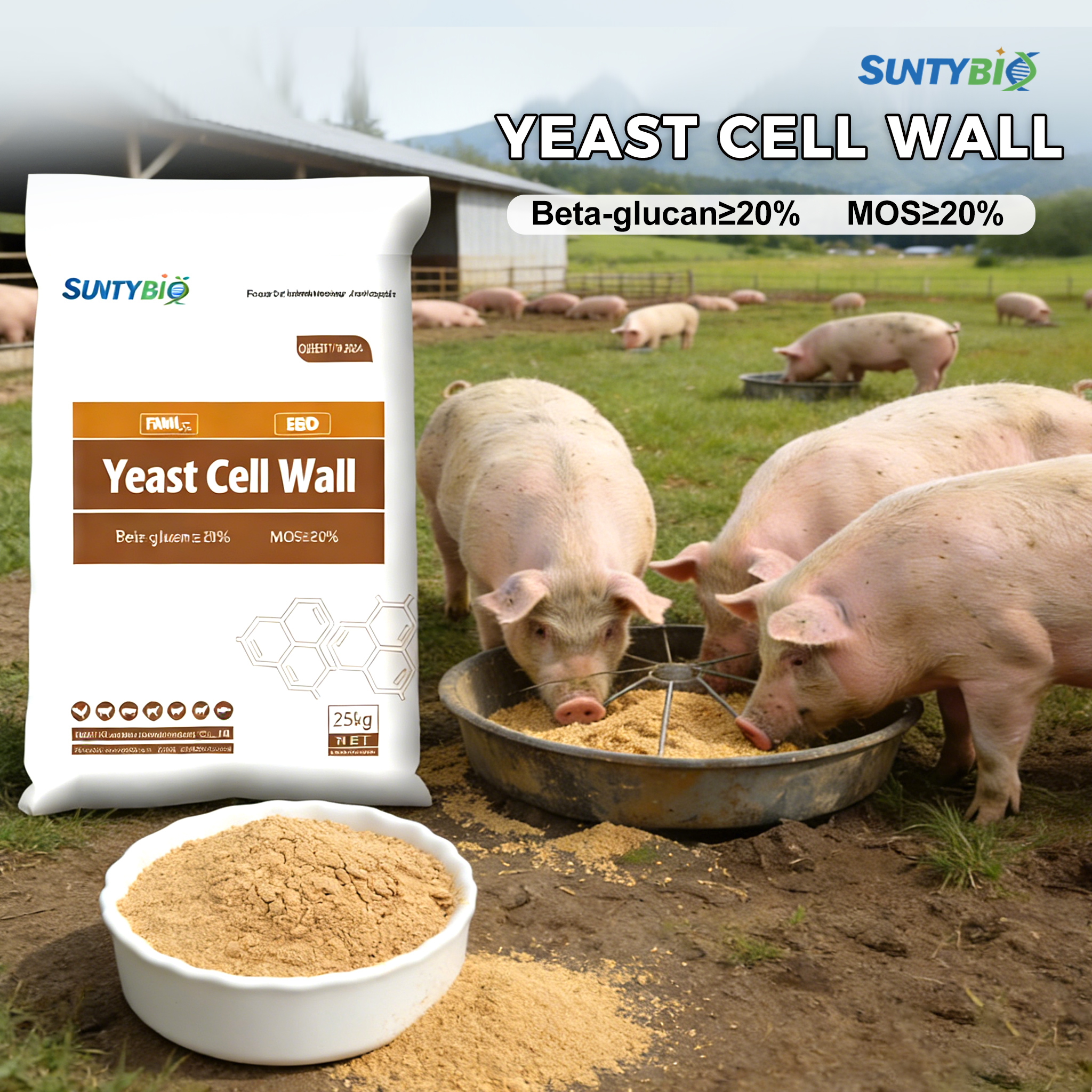 The Practical Value of Yeast Cell Wall in Winter Piglet Nutrition