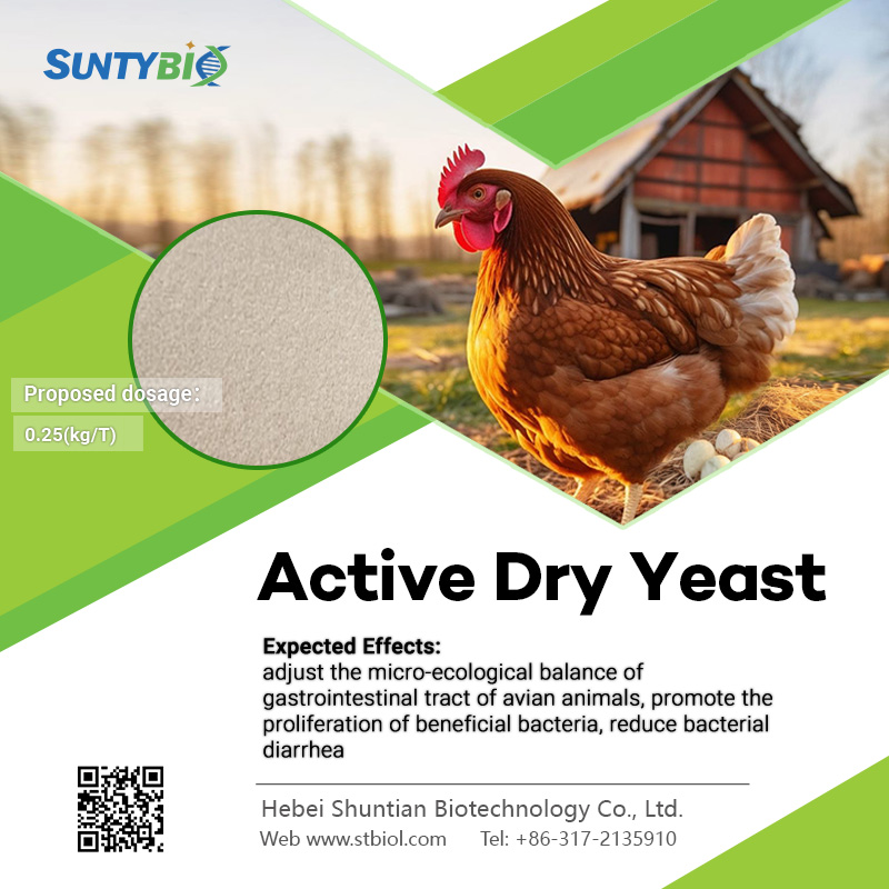 Spring Poultry Essential: Active Yeast – The 