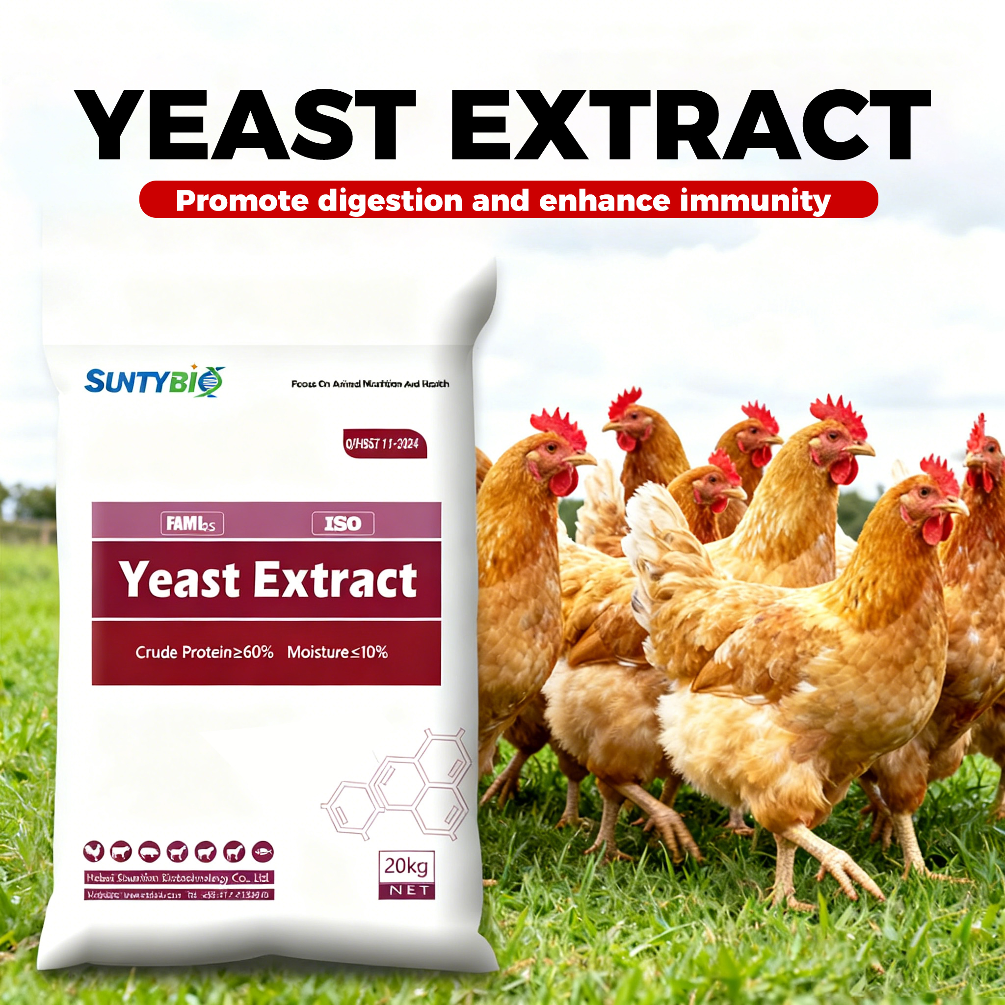 Does Yeast Extract Really Work for Chickens? Let’s Break It Down