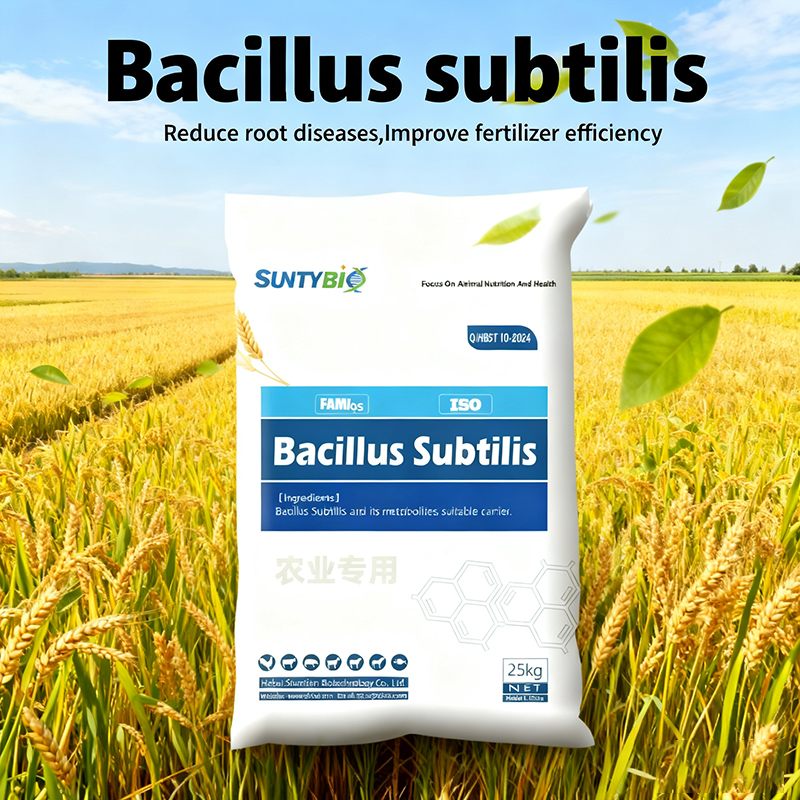 The changes of Bacillus subtilis in agriculture